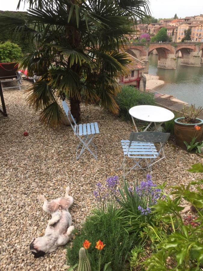 Comfort And Fab Views Albi Exterior photo